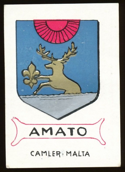 File:Amato.cam.jpg