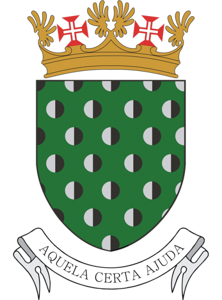 File:Supply and Transport Department, Portuguese Air Force.png
