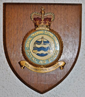Coat of arms (crest) of the Dental Training Establishment, Royal Air Force