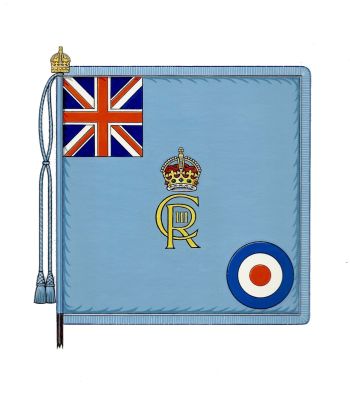 Coat of arms (crest) of Colour RAF