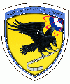 140th Operational Intelligence and Electronic Warfare Group, Hellenic Air Force.gif