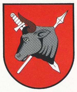 Arms of Sejny