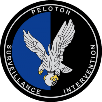 Coat of arms (crest) of the Surveillance and Intervention Platoon of the Gendarmerie, France