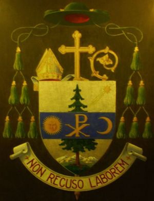 Arms of Áron Márton
