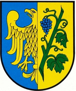 Coat of arms (crest) of Strzelce Opolskie