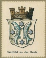 Arms of Saalfeld an der Saale