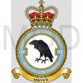 No 85 Expeditionary Logistics Wing, Royal Air Force.jpg