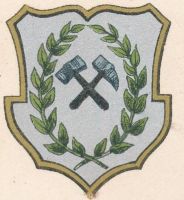 Arms (crest) of Černý Důl