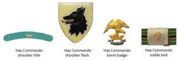 Coat of arms (crest) of Hay Commando, South African Army