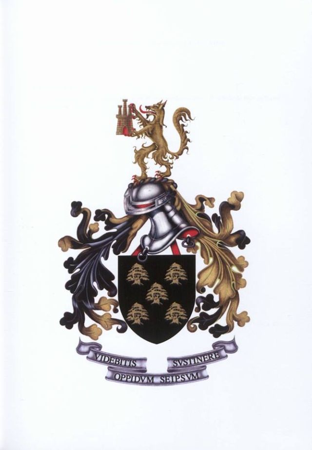 Arms (crest) of Engineer Unit No 5. Portuguese Army / Brasão de ...