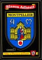 Montpellier.frba.jpg