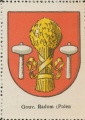 Wappen von Radom