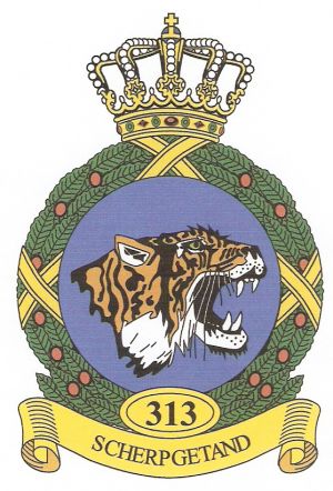 313th Squadron, Netherlands Air Force.jpg