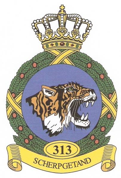 File:313th Squadron, Netherlands Air Force.jpg