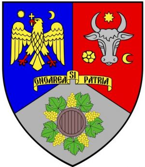 Arms (crest) of Vrancea (county)