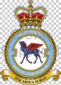 No 45 Squadron, Royal Air Force.jpg