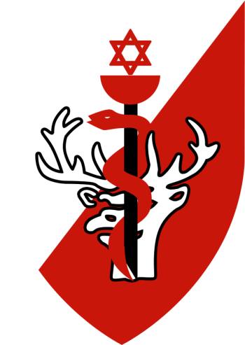 Coat of arms (crest) of the Northern Command Medical, Israel Defence Forces