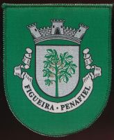 Brasão de Figueira/Arms (crest) of Figueira