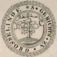 Wappen von Großen-Linden/Arms (crest) of Großen-Linden
