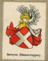 Wappen von Savoyen