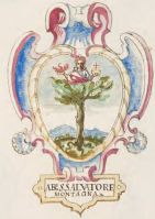 Stemma di Abbadia San Salvatore/Arms (crest) of Abbadia San Salvatore