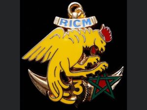 Coat of arms (crest) of the 3rd Squadron, Marine Infantry Tank Regiment, French Army