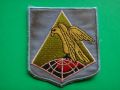 1st Battalion, 1st Infantry Regiment, ARVN.jpg