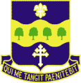 315th (Infantry) Regiment, US Armydui.png