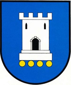 Arms of Pleszew
