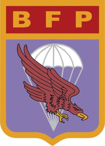 Coat of arms (crest) of the Parachute Fusiliers Brigade, Mexican Air Force