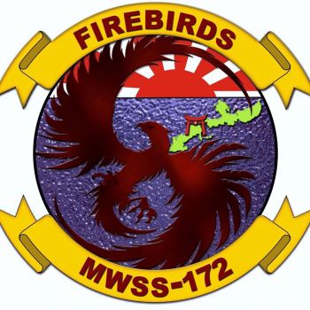 Coat of arms (crest) of the MWSS-172 Firebirds, USMC