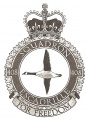 No 408 Squadron, Royal Canadian Air Force.jpg