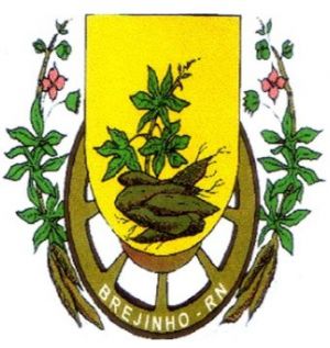 Brasão de Brejinho (Rio Grande do Norte)/Arms (crest) of Brejinho (Rio Grande do Norte)