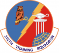 312th Training Squadron, US Air Force.png