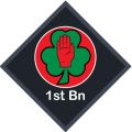 1st Northern Ireland Cadet Battalion, United Kingdom.jpg