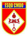 Headquarters Squadron, 1st Mechanized Cavalry Brigade, Brazilian Army.jpg