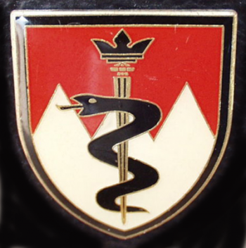 Blason de Medical Battalion 12, Germany/Arms (crest) of Medical Battalion 12, Germany