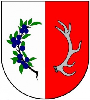 Arms of Śliwice