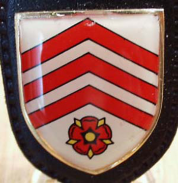 Coat of arms (crest) of the Armoured Battalion 213, German Army