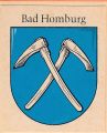 Badhomburg.pan.jpg