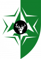 Northern Command Intelligence, Israeli Defence Forces1.png