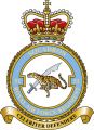 No 51 Squadron, Royal Air Force Regiment.jpg