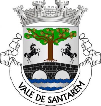 Brasão de Vale de Santarém/Arms (crest) of Vale de Santarém