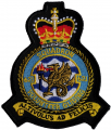 No 621 Volunteer Gliding Squadron, Royal Air Force.png