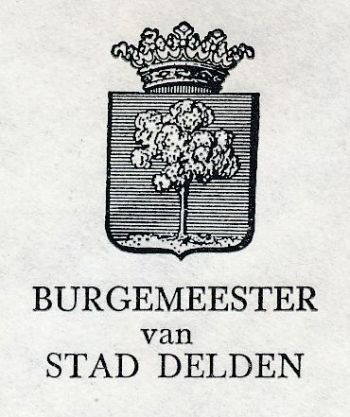 Wapen van Stad Delden