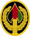 US Army Element, Special Operations Joint Task Force Afghanistan.png