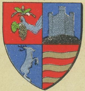 Coat of arms (crest) of Sălaj (county)