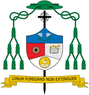 Arms of Renato Pine Mayugba