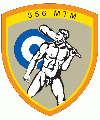 356th Tactical Transport Squadron, Hellenic Air Force.gif