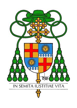 Arms of Hermann Schäufele